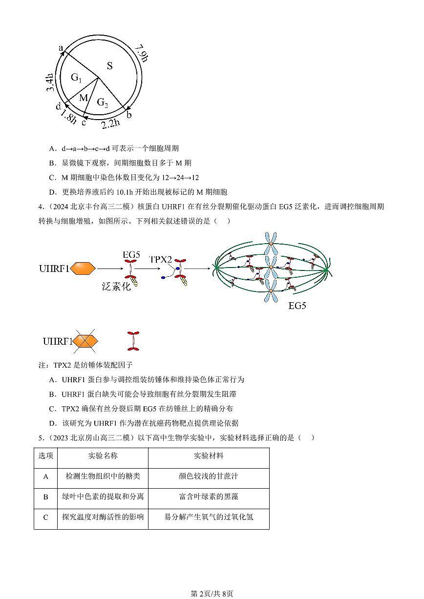 2023-2025北京高三二模[高考模拟]生物汇编：细胞的增殖第2页