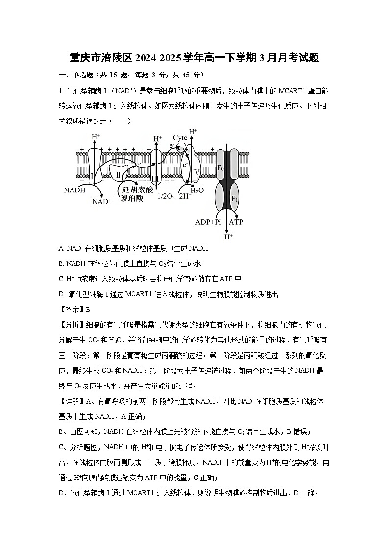 重庆市涪陵区2024-2025学年高一下学期3月月考生物试卷（解析版）第1页