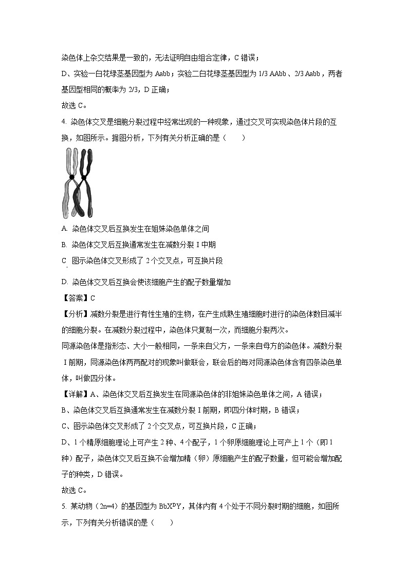 安徽省天一大联考2024-2025学年高一下学期5月阶段性测试生物试卷（解析版）第3页