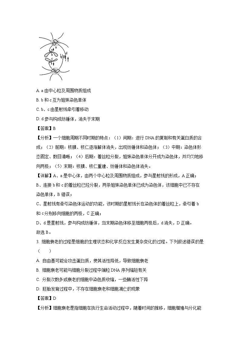 福建省2024-2025学年高一下学期4月期中联考生物试卷（解析版）第2页