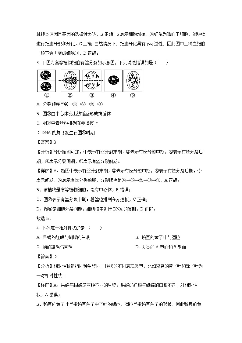 江苏省镇江中学2024-2025学年高一下学期期中生物试卷（解析版）第2页