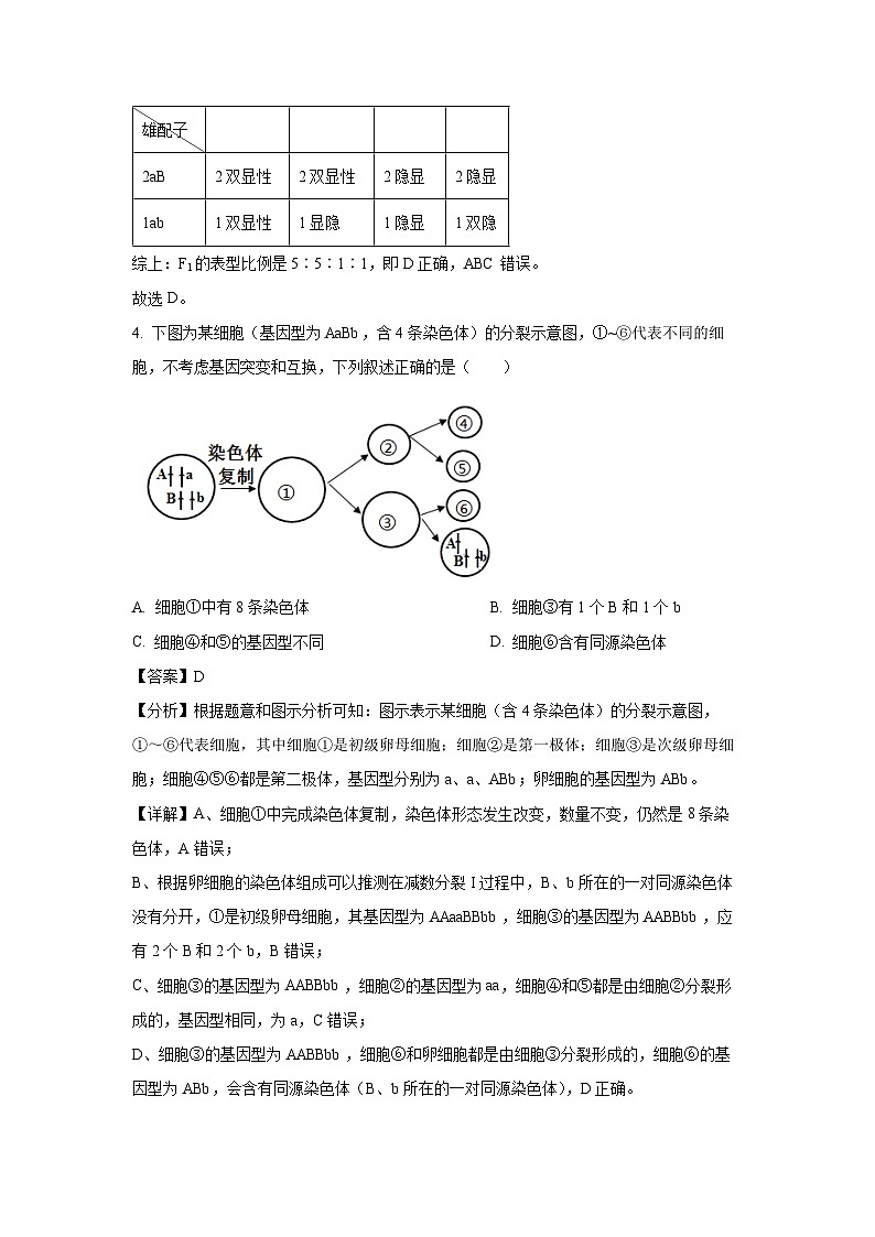 江西省金太阳联考2024-2025学年高一下学期5月第三次月考生物试卷（解析版）第3页