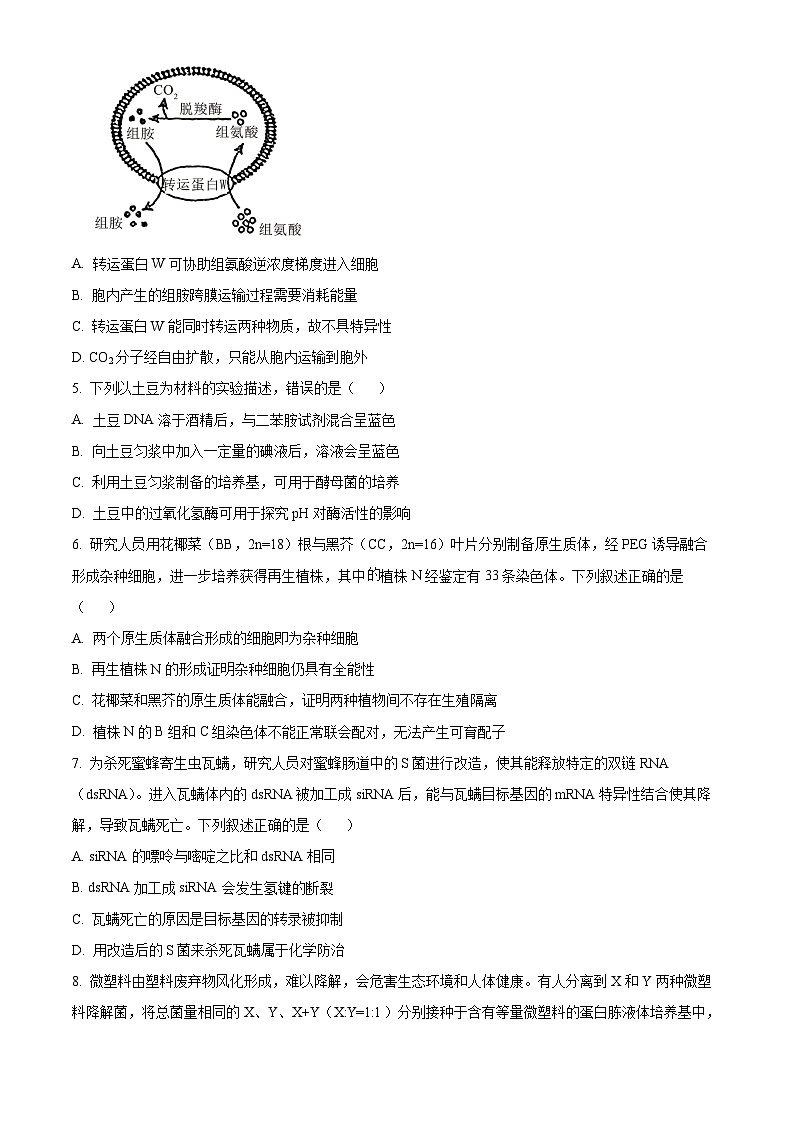 2025年高考真题——生物（四川卷） Word版无答案第2页