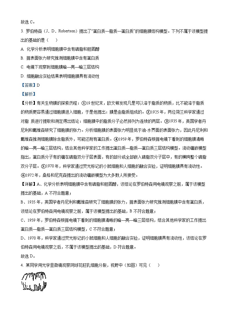 2025年高考真题——生物（广东卷） Word版含解析第2页