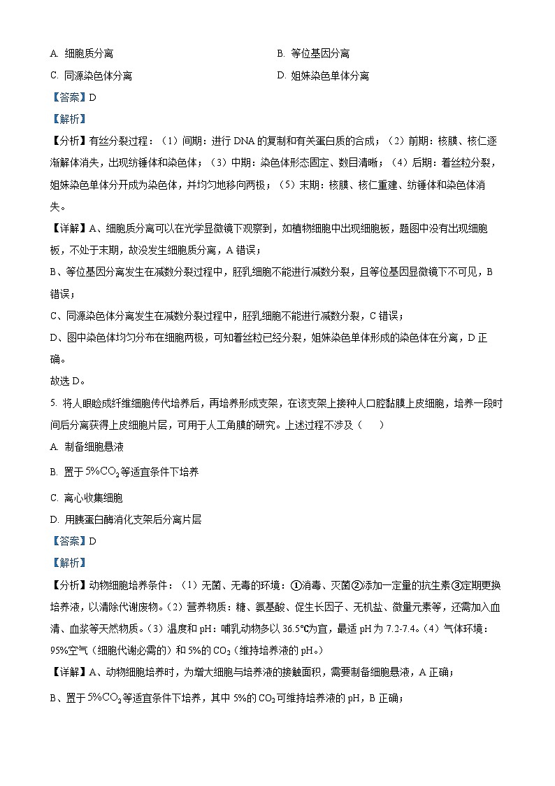 2025年高考真题——生物（广东卷） Word版含解析第3页