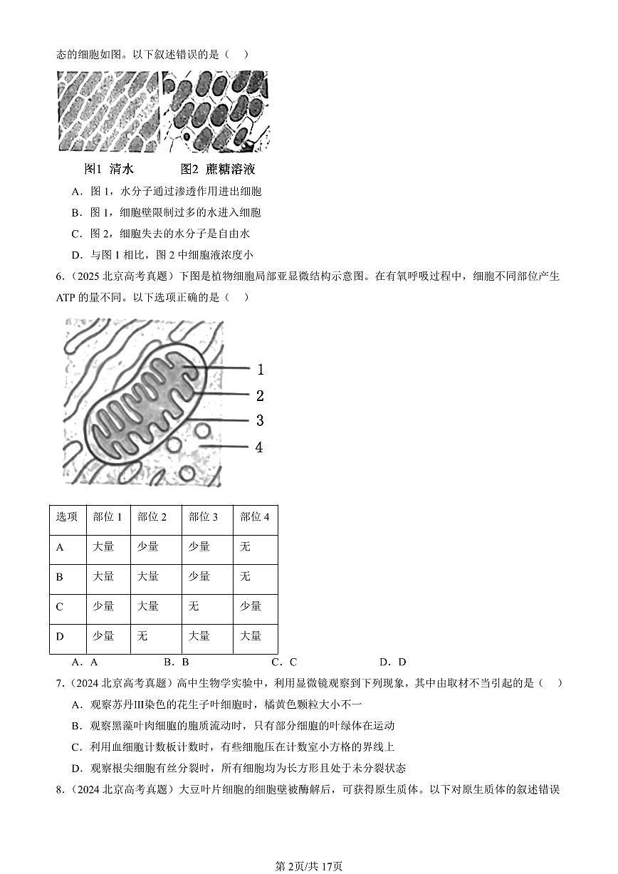 2023-2025北京高考真题生物汇编：分子与细胞 有答案解析第2页