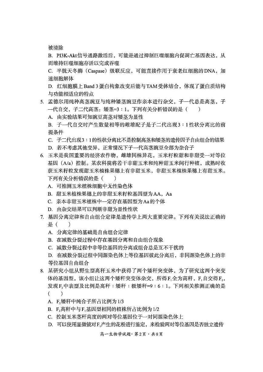 四川省巴中市普通高中2024-2025学年高一下学期检测（期末）生物试卷第2页