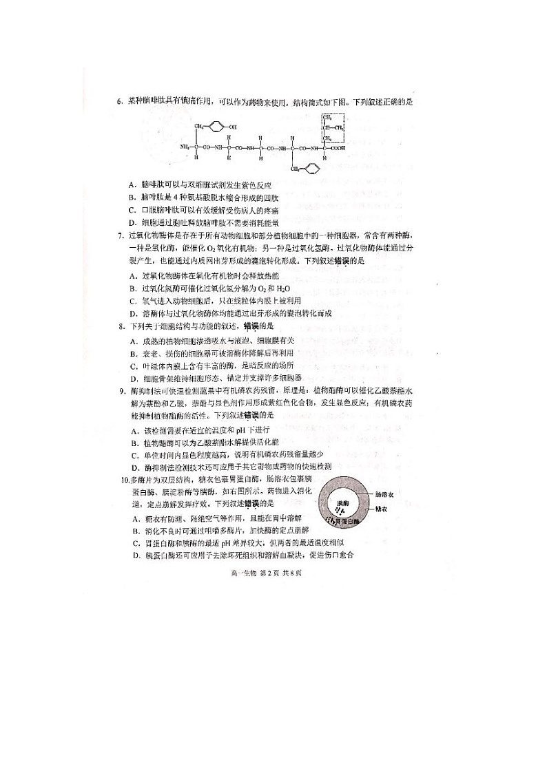 江苏省苏州市2024-2025学年高一上期期末学业阳光指标调研生物卷（无答案）第2页