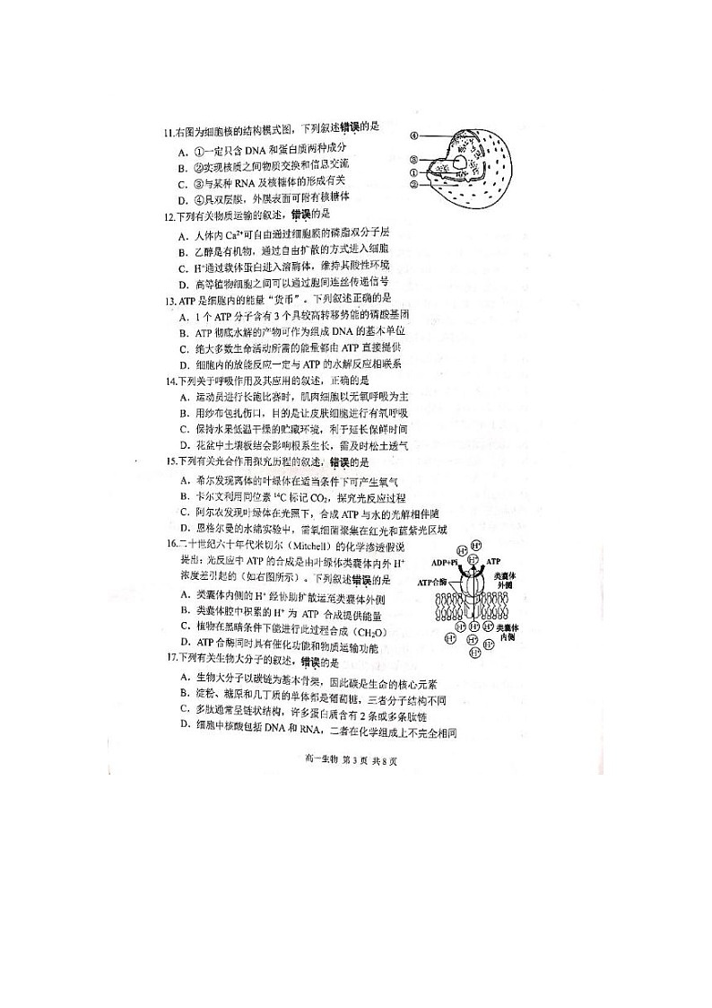 江苏省苏州市2024-2025学年高一上期期末学业阳光指标调研生物卷（无答案）第3页