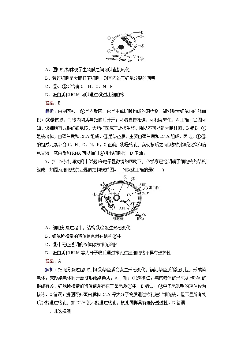 2026届高考生物一轮总复习提能训练练案5细胞膜和细胞核第3页