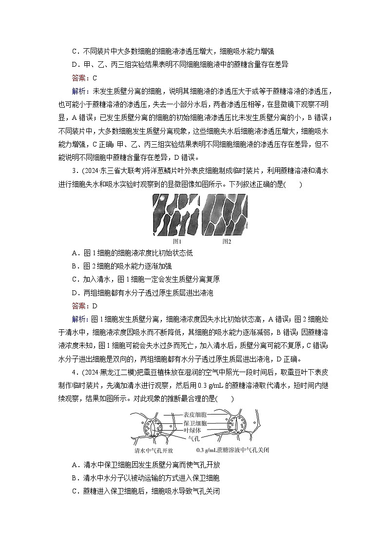 2026届高考生物一轮总复习提能训练练案7水进出细胞的原理第2页