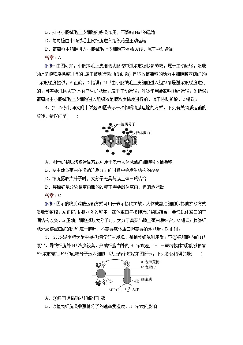 2026届高考生物一轮总复习提能训练练案8物质跨膜运输的方式第2页