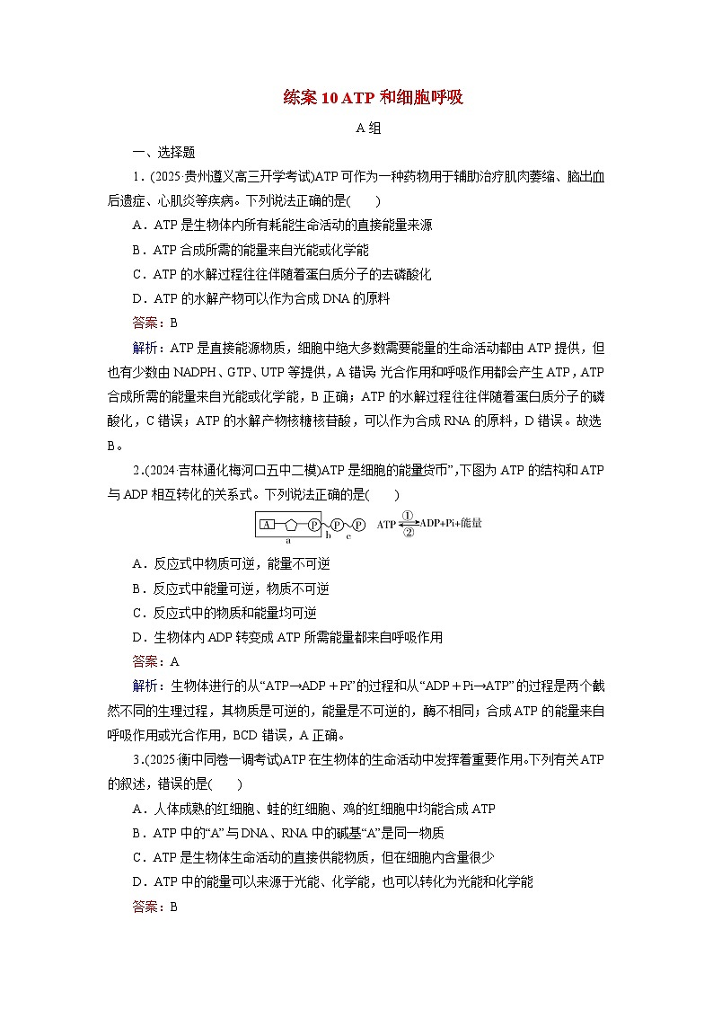 2026届高考生物一轮总复习提能训练练案10ATP和细胞呼吸第1页