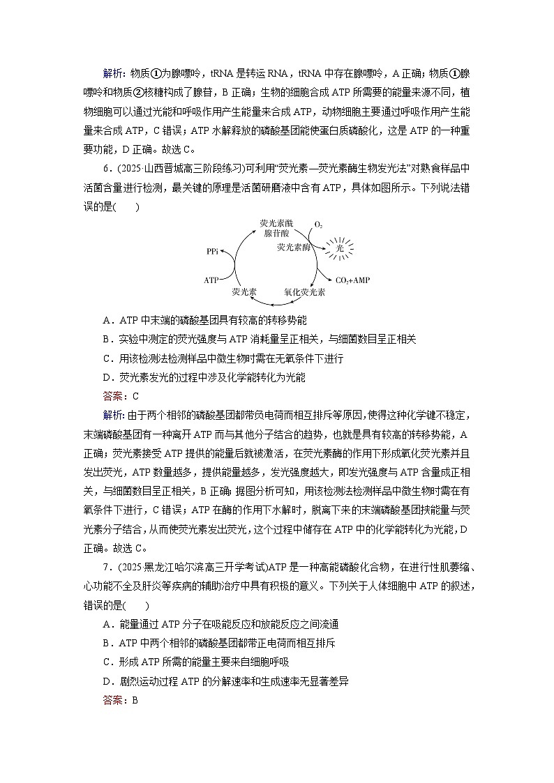 2026届高考生物一轮总复习提能训练练案10ATP和细胞呼吸第3页