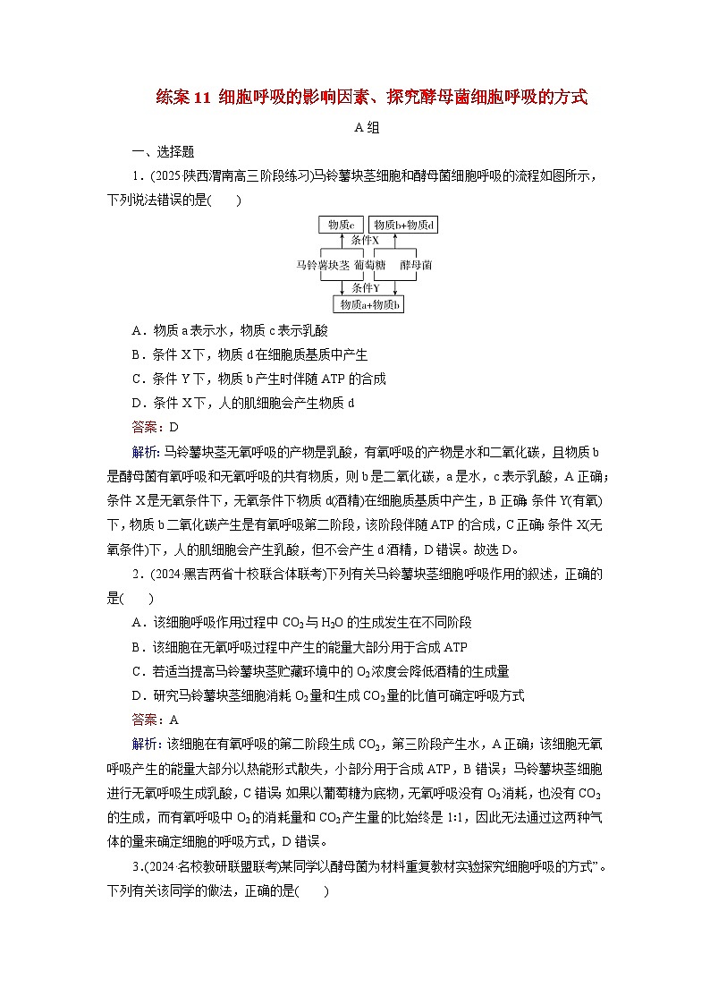2026届高考生物一轮总复习提能训练练案11细胞呼吸的影响因素探究酵母菌细胞呼吸的方式第1页