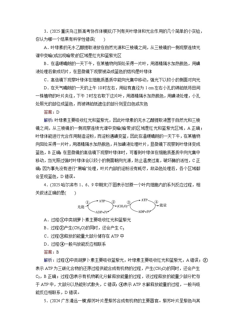 2026届高考生物一轮总复习提能训练练案12捕获光能的色素和结构光合作用的原理第2页
