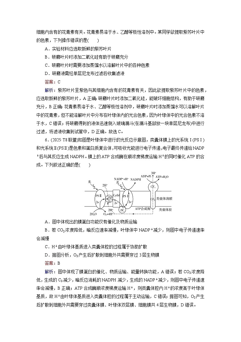 2026届高考生物一轮总复习提能训练练案12捕获光能的色素和结构光合作用的原理第3页