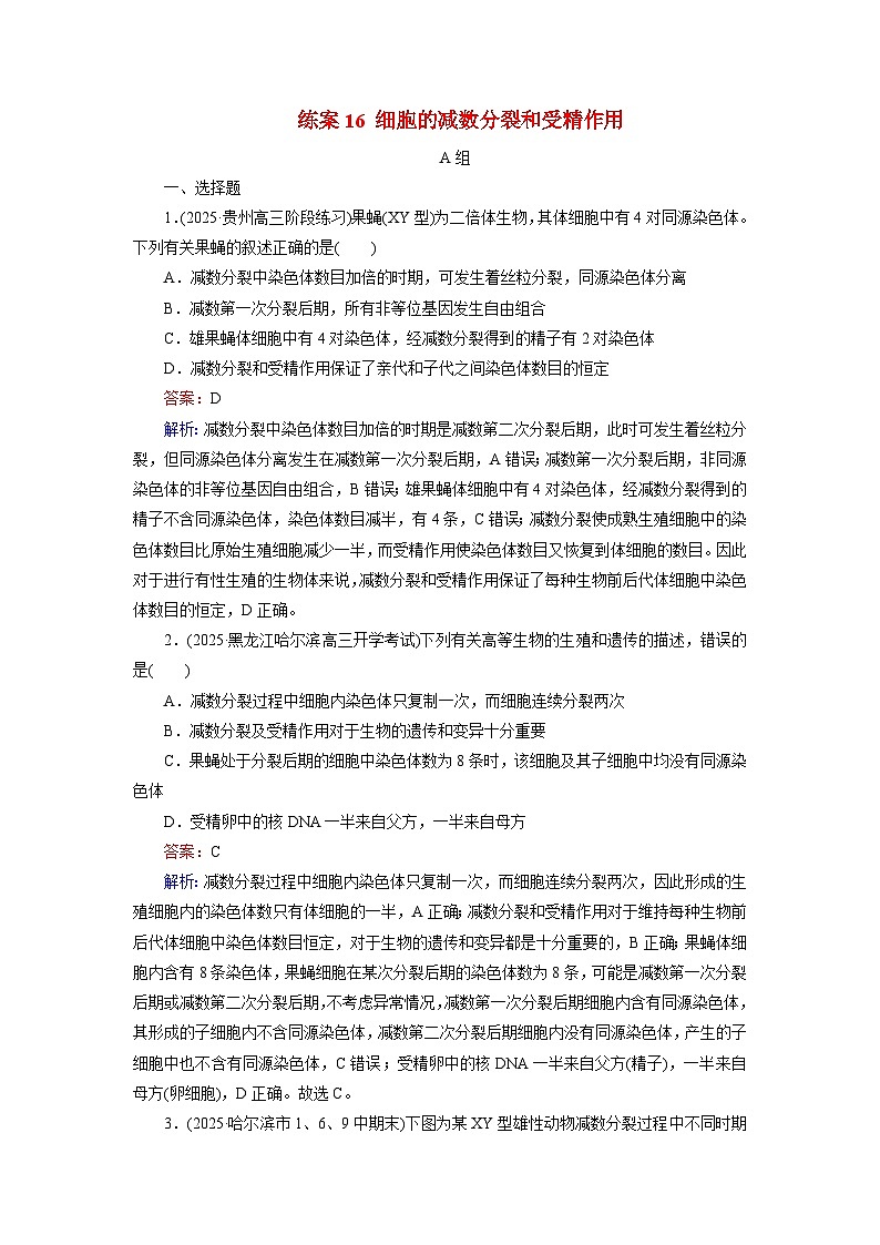 2026届高考生物一轮总复习提能训练练案16细胞的减数分裂和受精作用第1页