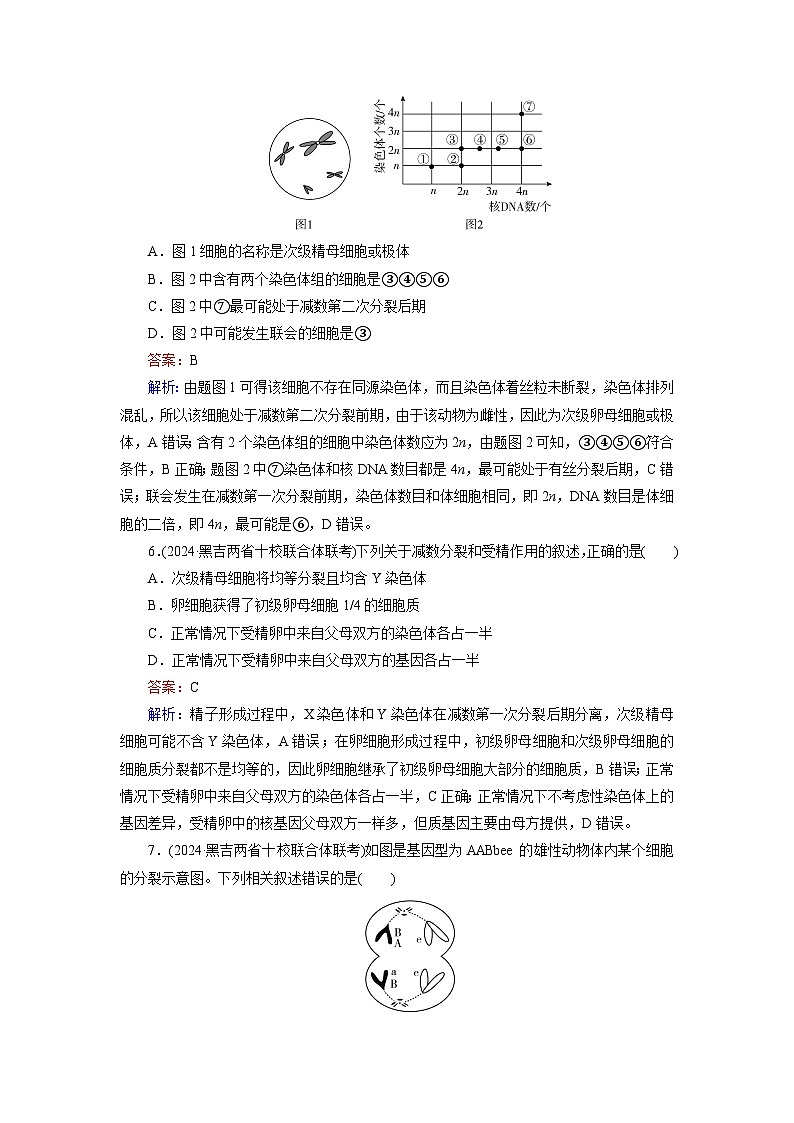2026届高考生物一轮总复习提能训练练案16细胞的减数分裂和受精作用第3页