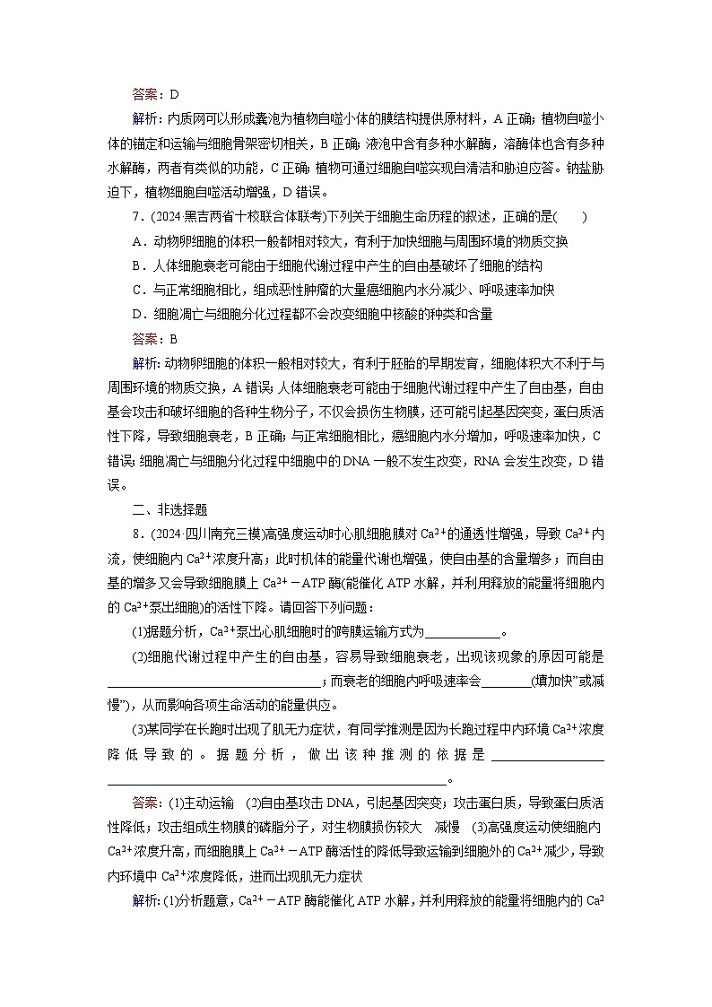 2026届高考生物一轮总复习提能训练练案17细胞的分化衰老和死亡第3页