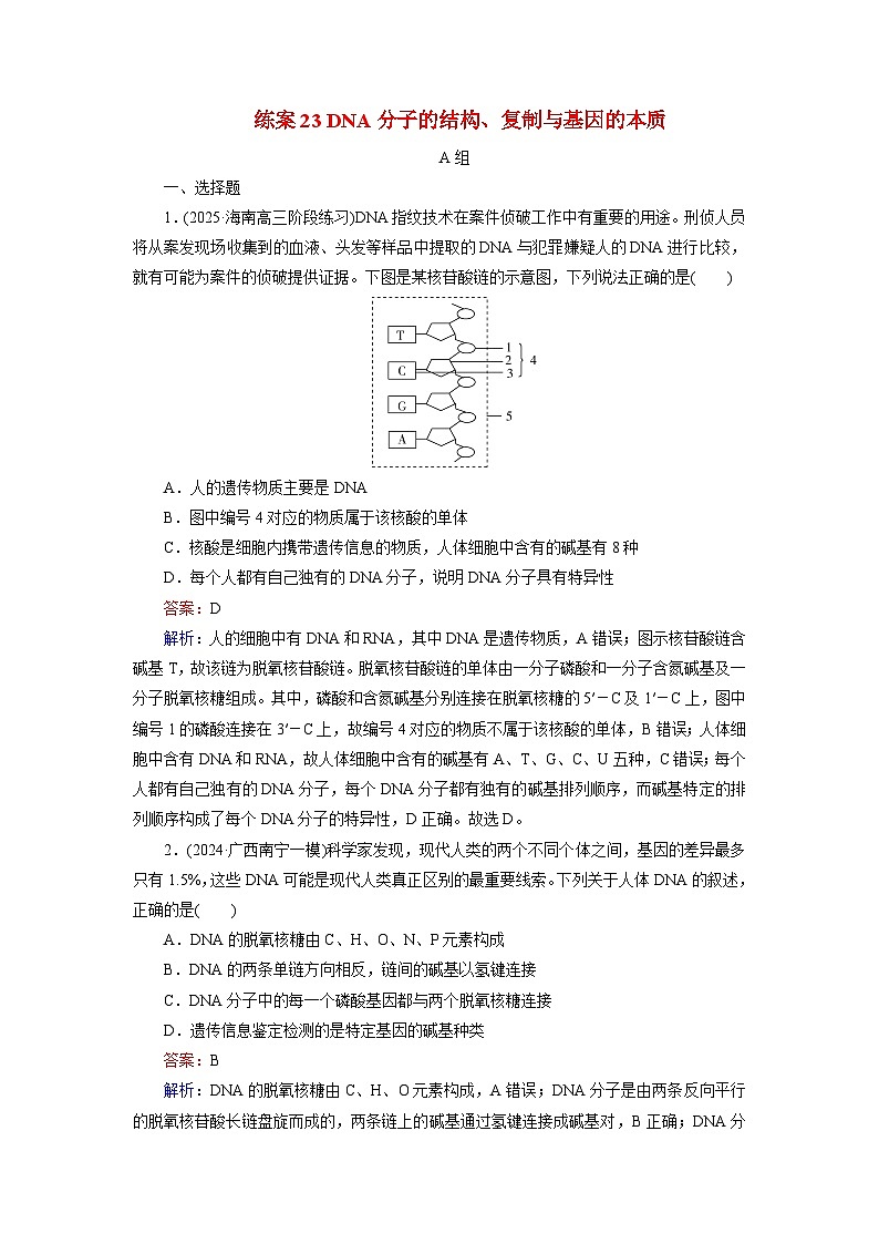 2026届高考生物一轮总复习提能训练练案23DNA分子的结构复制与基因的本质第1页