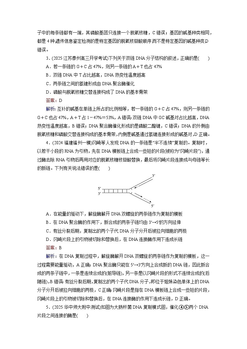 2026届高考生物一轮总复习提能训练练案23DNA分子的结构复制与基因的本质第2页
