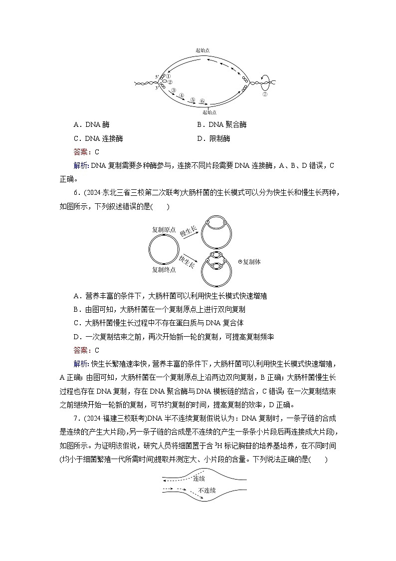 2026届高考生物一轮总复习提能训练练案23DNA分子的结构复制与基因的本质第3页