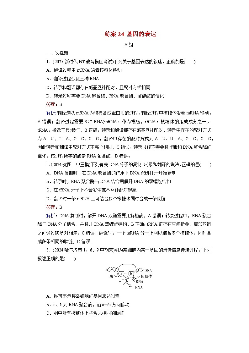 2026届高考生物一轮总复习提能训练练案24基因的表达第1页