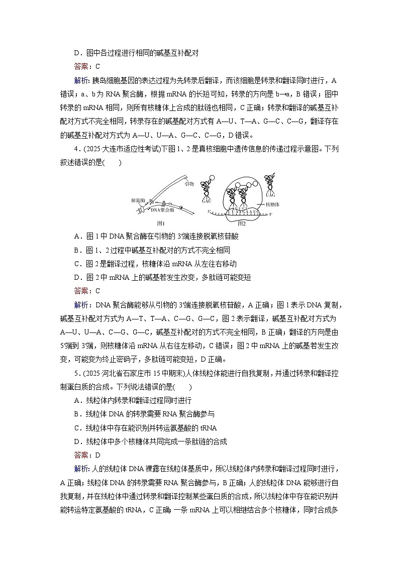 2026届高考生物一轮总复习提能训练练案24基因的表达第2页