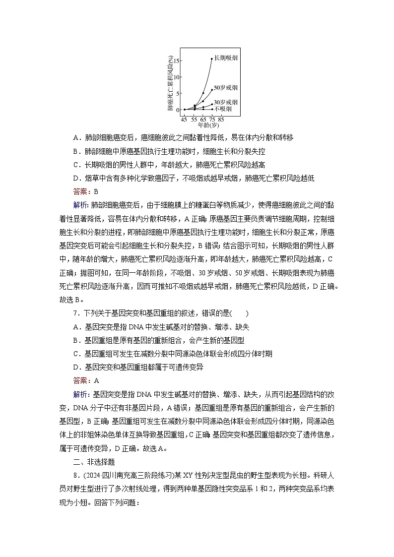 2026届高考生物一轮总复习提能训练练案25基因突变和基因重组第3页
