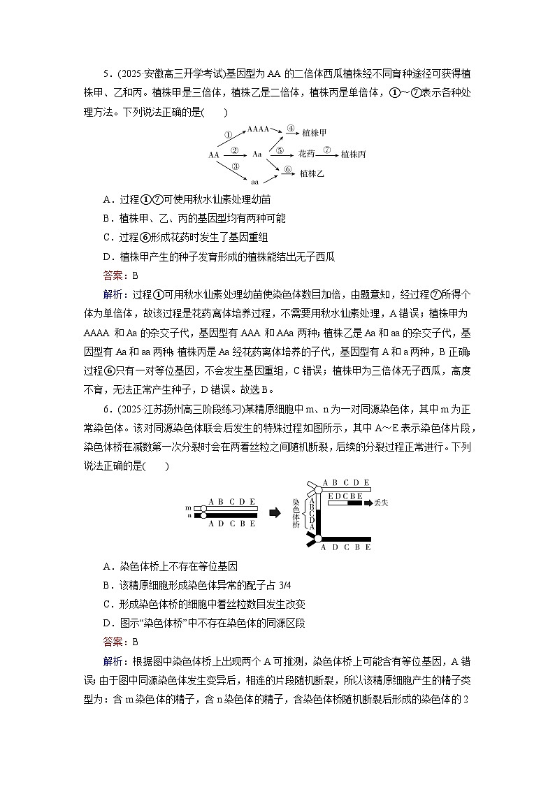 2026届高考生物一轮总复习提能训练练案26染色体变异及其应用第3页