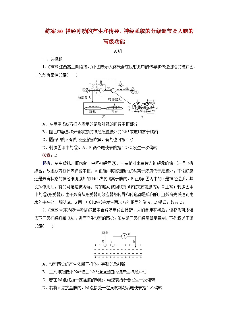 2026届高考生物一轮总复习提能训练练案30神经冲动的产生和传导神经系统的分级调节及人脑的高级功能第1页