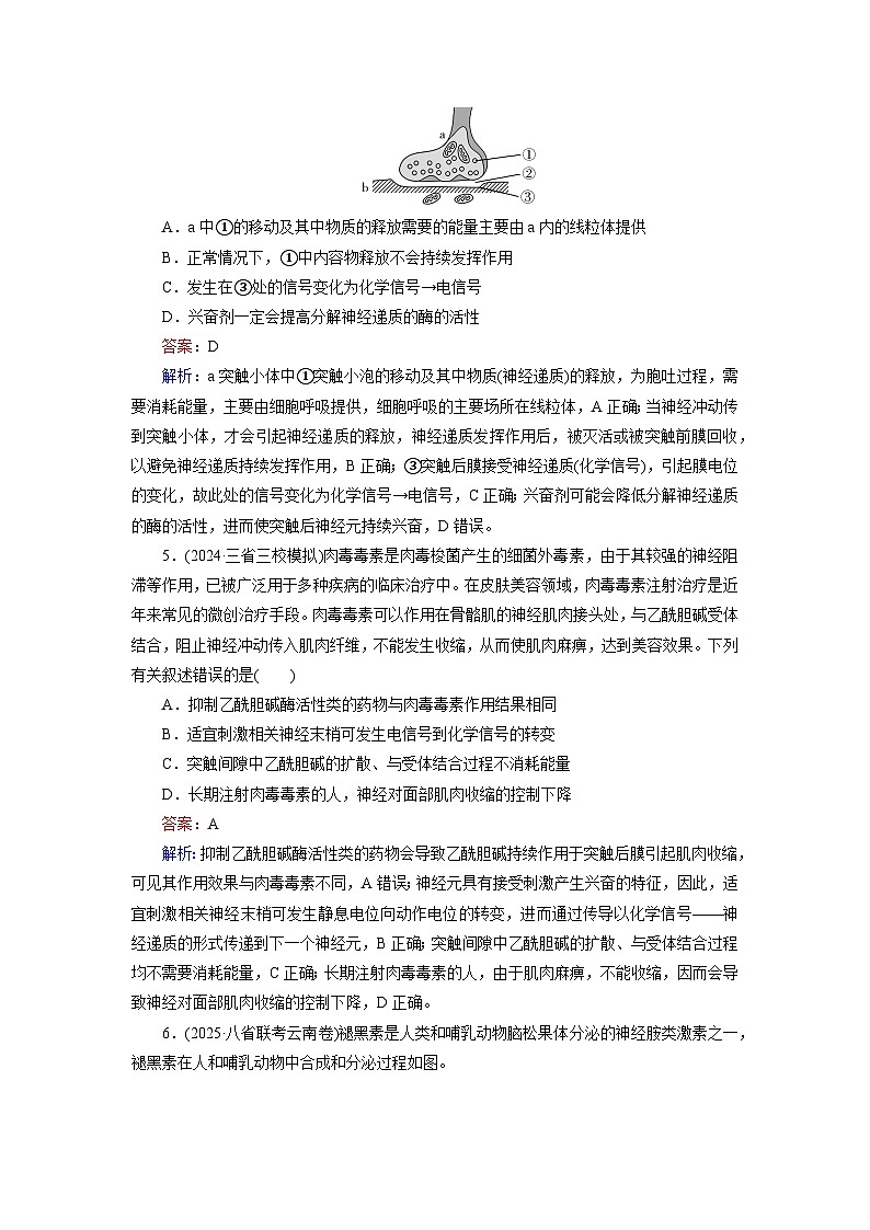 2026届高考生物一轮总复习提能训练练案30神经冲动的产生和传导神经系统的分级调节及人脑的高级功能第3页
