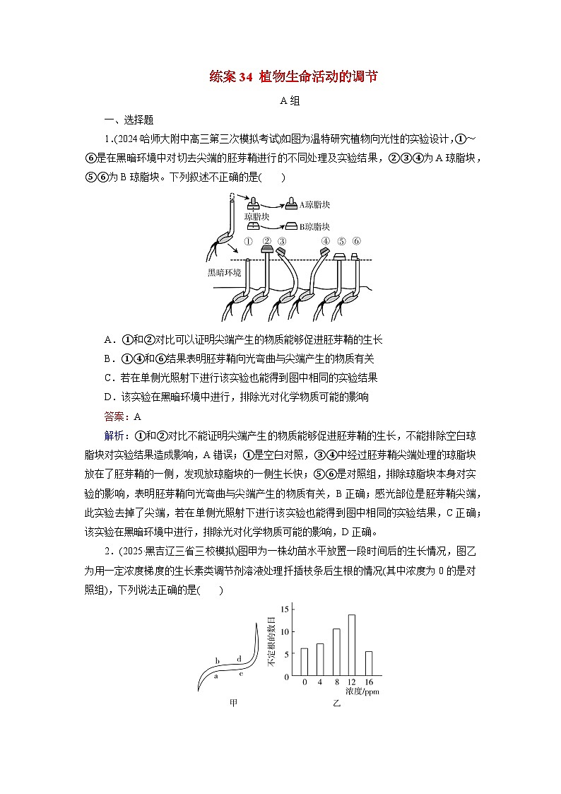 2026届高考生物一轮总复习提能训练练案34植物生命活动的调节第1页