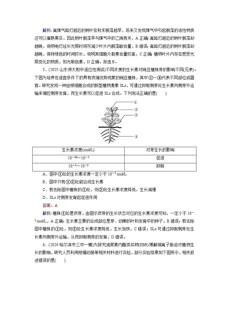 2026届高考生物一轮总复习提能训练练案34植物生命活动的调节第3页