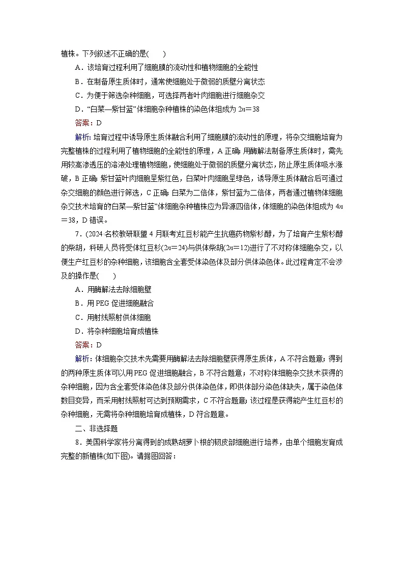 2026届高考生物一轮总复习提能训练练案42植物细胞工程第3页