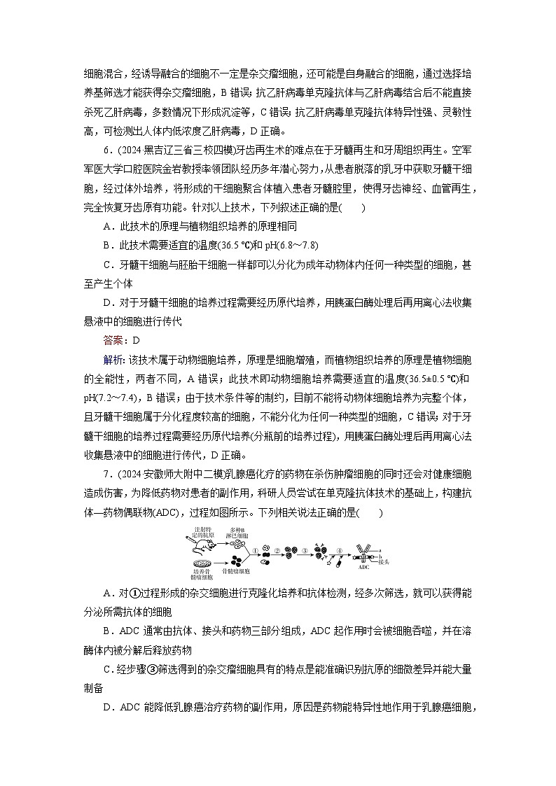 2026届高考生物一轮总复习提能训练练案43动物细胞工程第3页