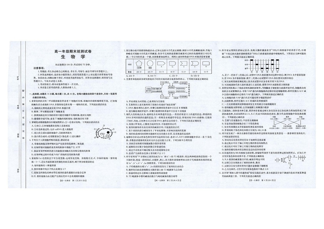 云南省临沧市2024-2025学年高一下学期期末质量测试生物试卷第1页