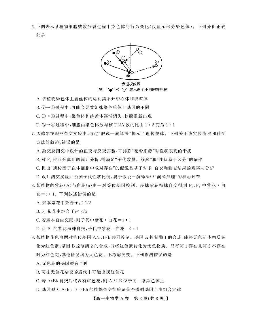 安徽省江淮协作区2024-2025学年高一下学期期末考试生物（A）试卷（PDF版，含解析）第3页