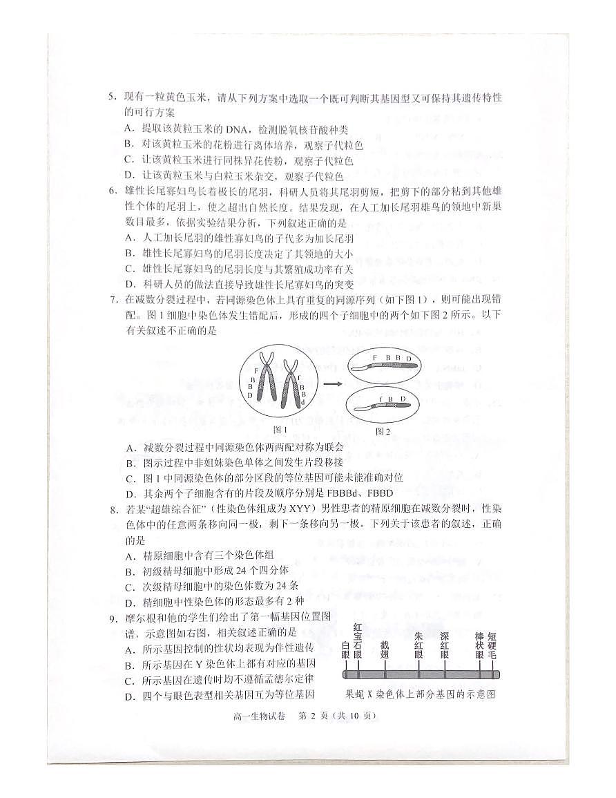 广东省大湾区2024-2025学年高一下学期期末考试生物试题第2页