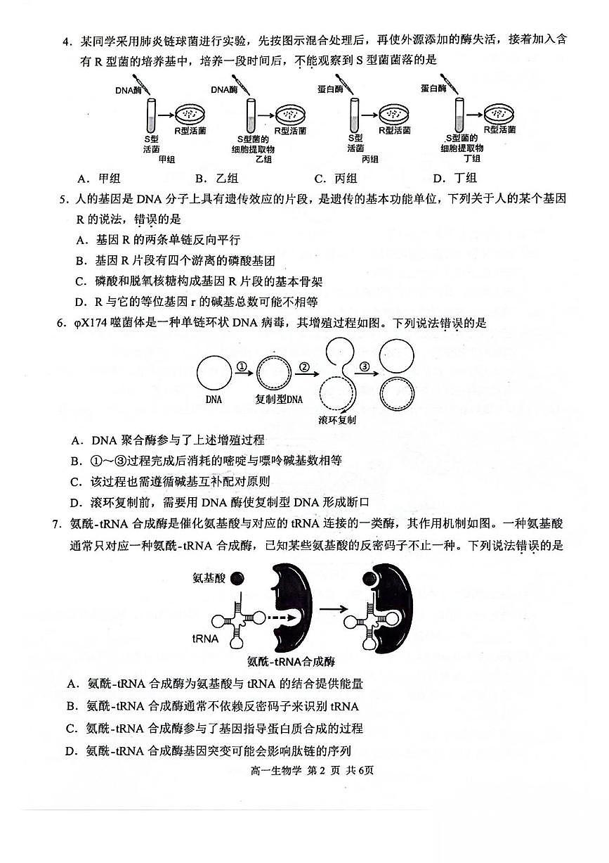 广西河池市2024-2025学年高一下学期7月期末考试 生物 PDF版含解析第2页