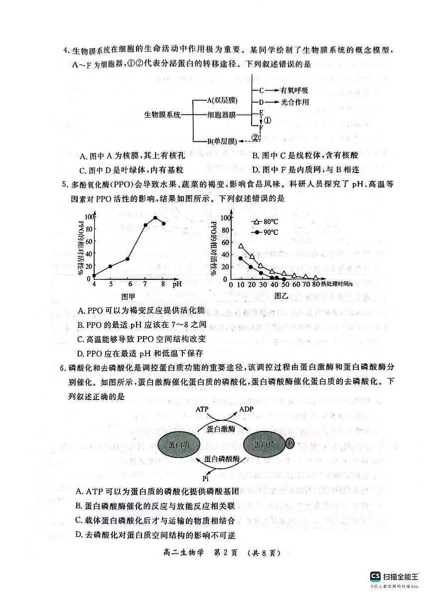河南省开封市2024-2025学年高二下学期期末调研考试生物试卷+答案第2页