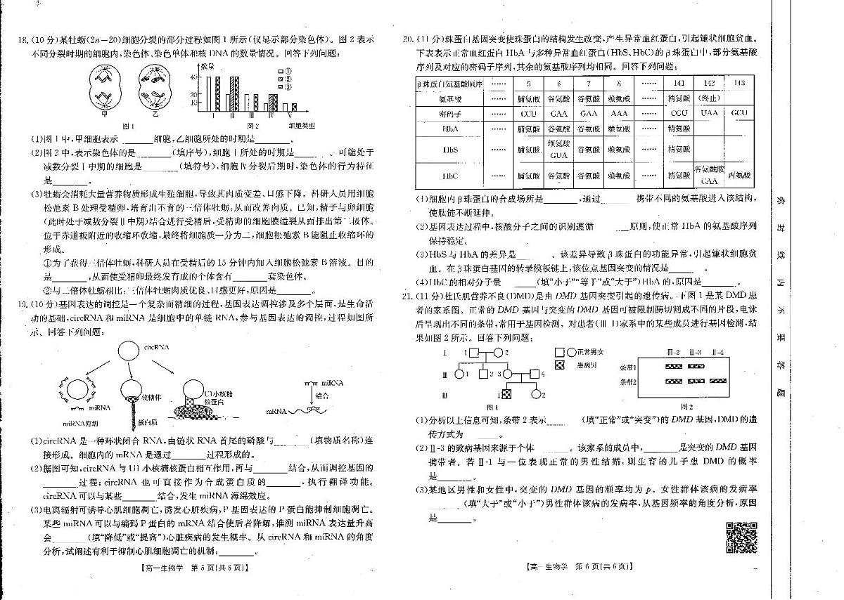 河南新乡2024-2025学年下学期高一生物试卷（期末考试）第2页
