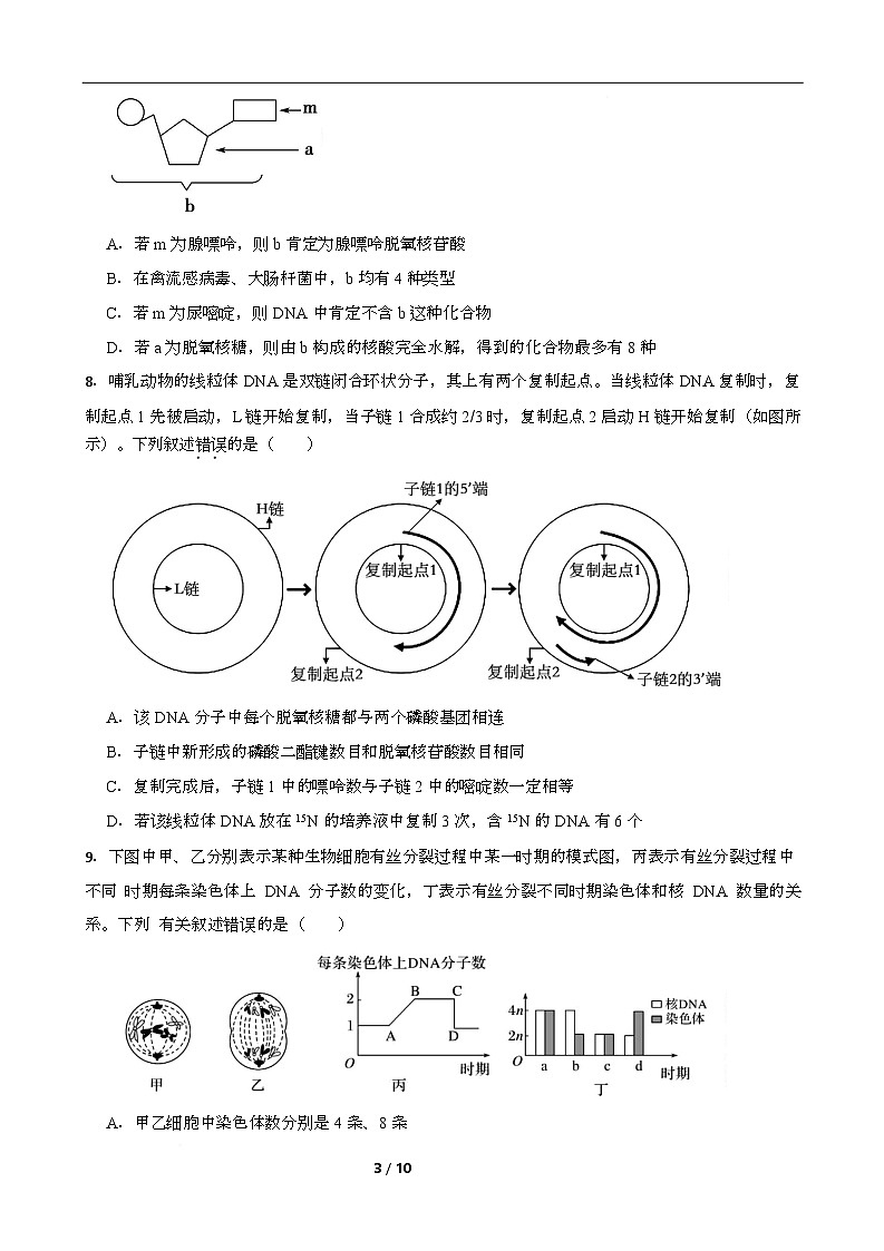 高一期末生物试卷第3页