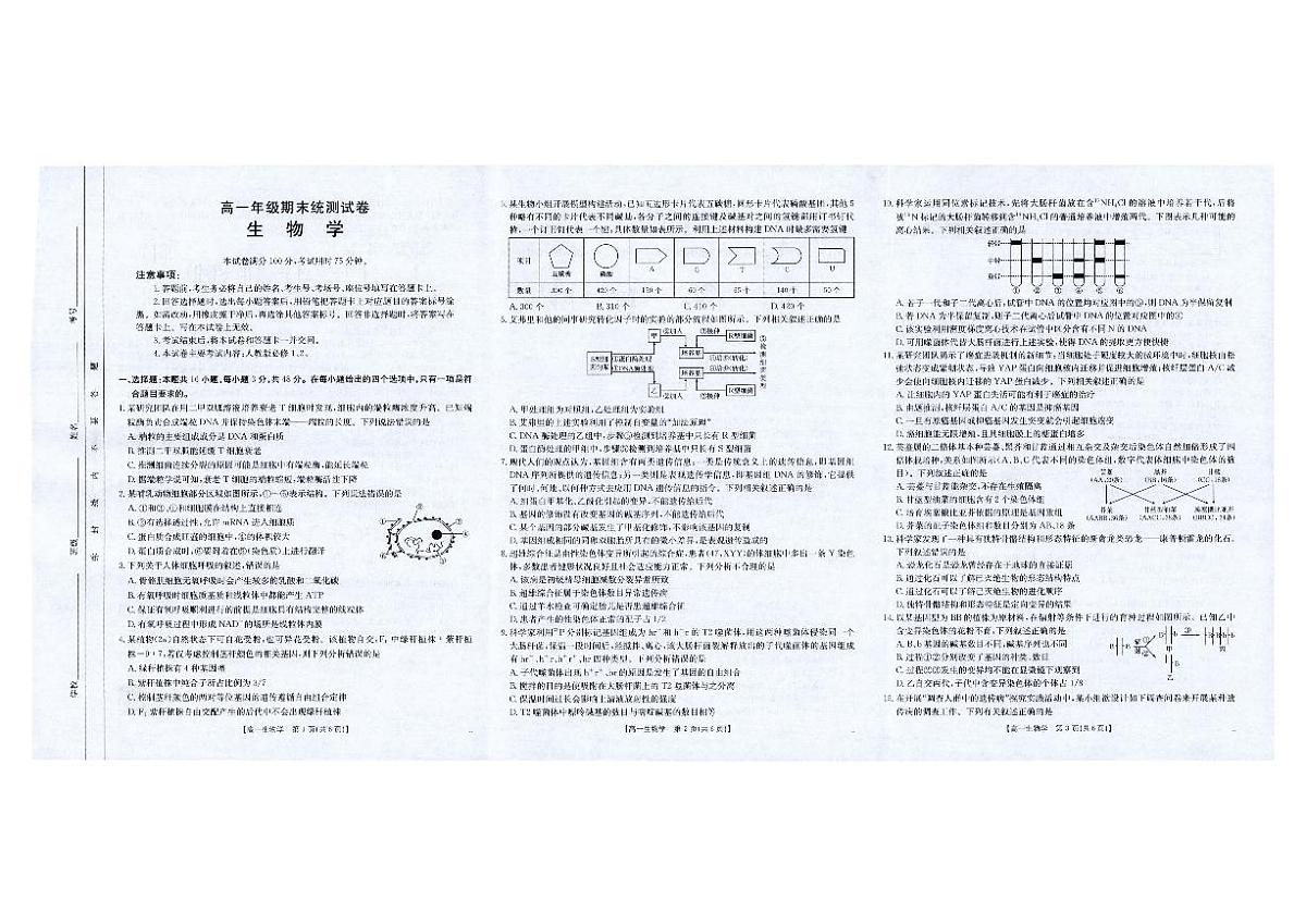 高一生物第1页