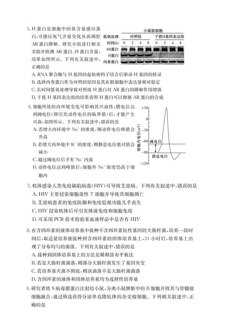 湖南省2025届2月高三下学期开学联考生物试题（含答案）第2页