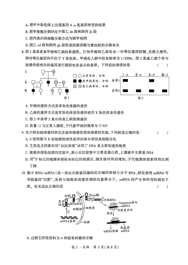 黔南州2024-2025学年度高三第一学期期末质量监测生物试卷（含答案）第3页