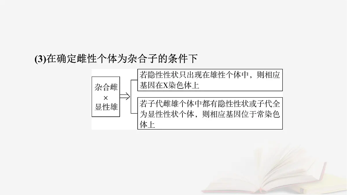 2026届高考生物一轮总复习必修2微专题7基因在染色体上位置的判断课件第4页