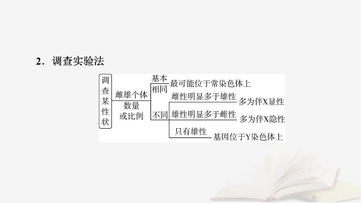 2026届高考生物一轮总复习必修2微专题7基因在染色体上位置的判断课件第5页