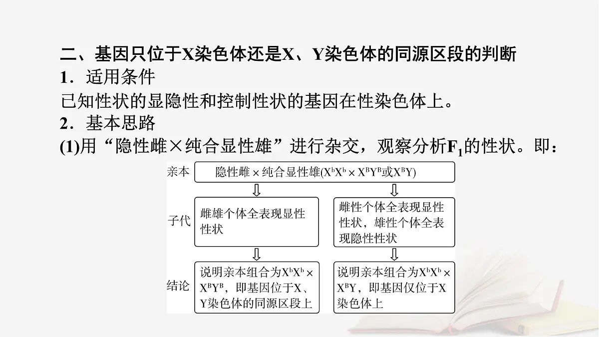2026届高考生物一轮总复习必修2微专题7基因在染色体上位置的判断课件第6页